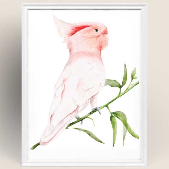 Wall Art Major Michell's Cockatoo Print Unframed - Picture 6 of 6